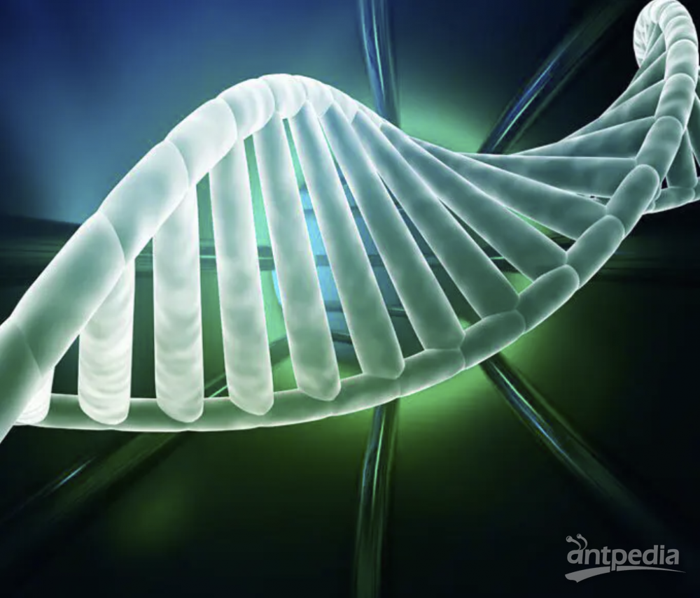 DNA甲基化检测