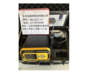 HCX600 手提式复合型气体分析仪