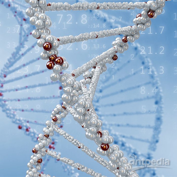 基因组测序-基因组测序测几条<em>染色体</em>