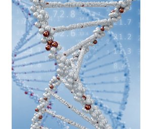 基因组测序-基因组测序测几条染色体