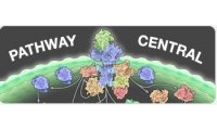 干细胞信号转导PCR基因芯片Stem Cell Signaling PCR Array