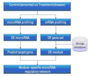 microRNA-mRNA芯片整合分析