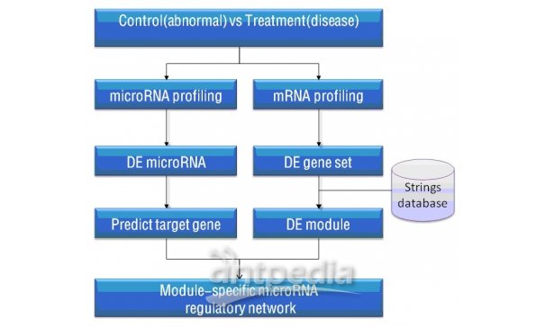 microRNA-mRNA芯片整合分析