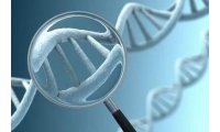 DNA甲基化检测8折优惠（BSP，MSP等）