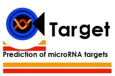 芯片差异microRNA靶基因分析