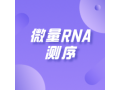 微量RNA测序