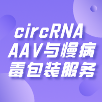 circRNA <em>AAV</em>与<em>慢</em><em>病毒</em><em>包装</em>服务