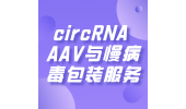 circRNA AAV与慢病毒包装服务