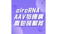 circRNA AAV与慢病毒包装服务