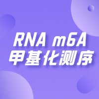 RNA <em>m6</em>A甲基化测序（MeRIP Seq）