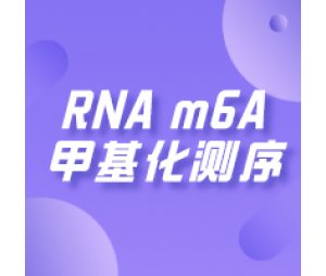 RNA m6A甲基化测序（MeRIP Seq）