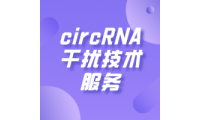 circRNA干扰技术服务