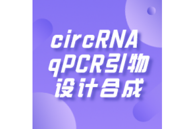 circRNA qPCR引物设计合成