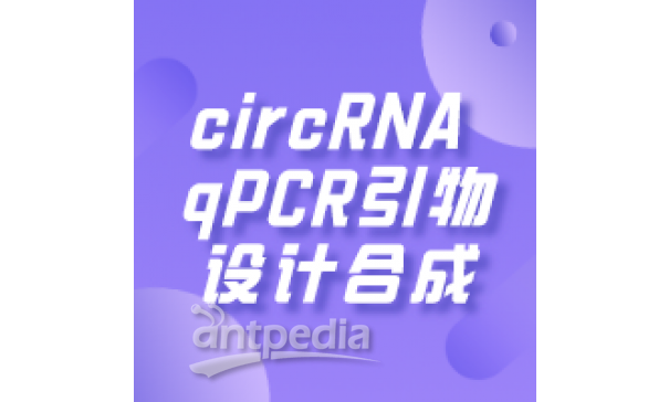 circRNA qPCR引物设计合成