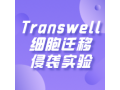 Transwell
