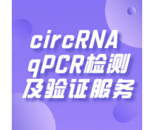 circRNA qPCR检测及验证服务