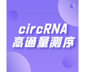circRNA高通量测序