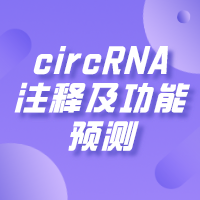 circRNA<em>注释</em><em>及</em><em>功能</em>预测