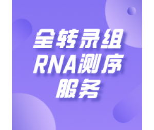 全转录组RNA测序服务