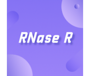 RNase R