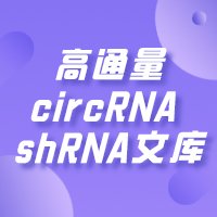 <em>高通量</em>circRNA shRNA<em>文库</em>