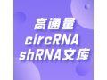 高通量circRNA