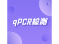 实时荧光定量PCR|qPCR检测