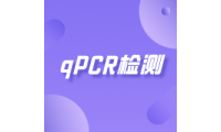 实时荧光定量PCR|qPCR检测