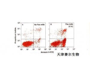 细胞周期和凋亡检测 天津赛尔生物