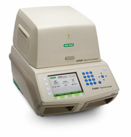 荧光定量检PCR检测服务<em>Real-Time</em> PCR/<em>qPCR</em>