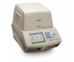 荧光定量检PCR检测服务Real-Time PCR/qPCR