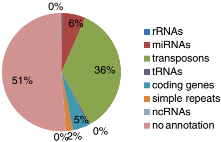 <em>小</em><em>RNA</em>组测序