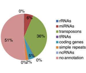 小RNA组测序
