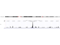 DNA羟甲基化测序