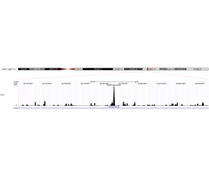 DNA羟甲基化测序