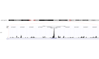 羟甲基化DNA免疫共沉淀测序