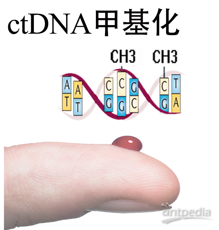 <em>ctDNA</em>甲基化<em>测序</em>
