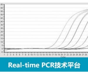 功能分型PCR芯片