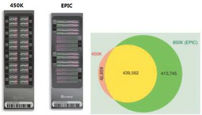 DNA甲基化850K芯片技术服务