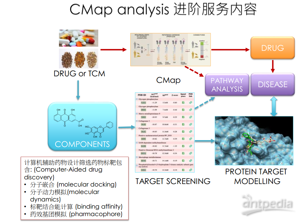 CMap药物开发平台