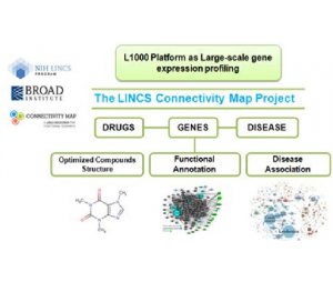 L1000 平台连用Cmap 数据库创新药物解决方案
