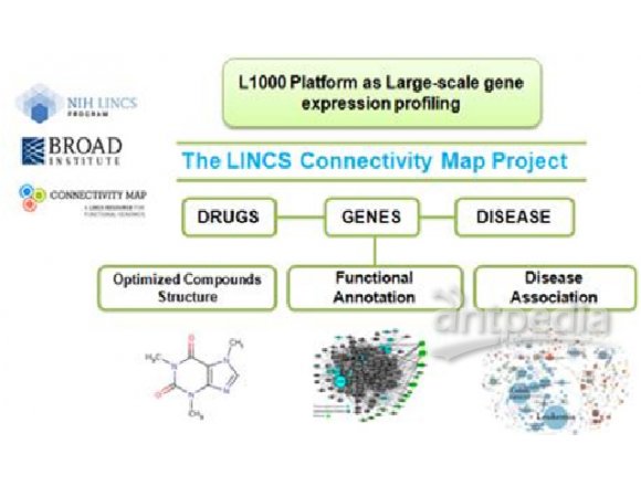 L1000 平台连用Cmap 数据库创新药物解决方案