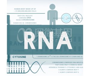 MicroRNA（miRNA）表达检测服务
