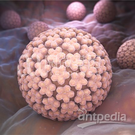 遗传性乳腺癌卵巢<em>癌基因</em>检测