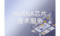miRNA芯片-欧易生物