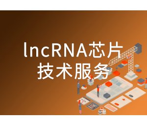 lncRNA芯片-欧易生物