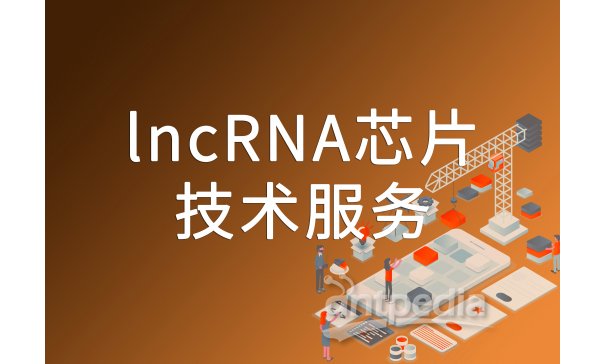 lncRNA芯片-欧易生物