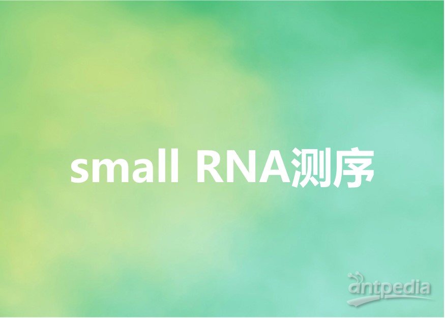 <em>small</em> <em>RNA</em><em>测序</em>-欧易<em>生物</em>