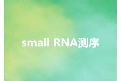 small RNA测序-欧易生物
