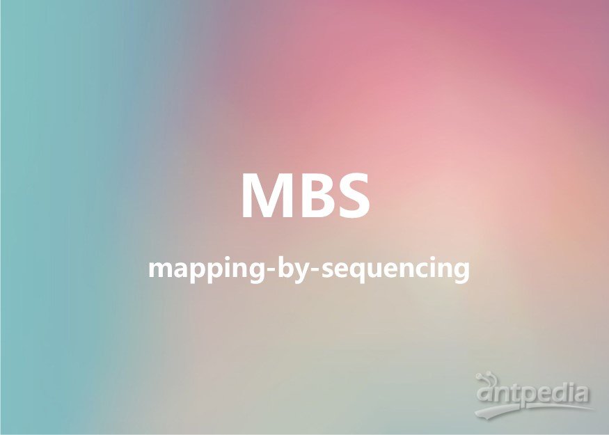 MBS (mapping-by-sequencing